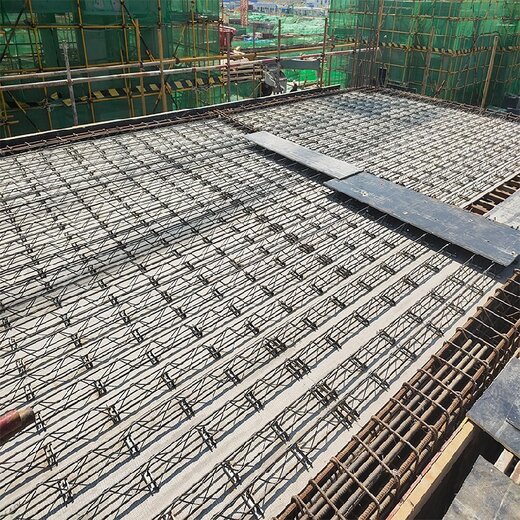 上海易碎德納免拆模板,鋼筋桁架樓承板